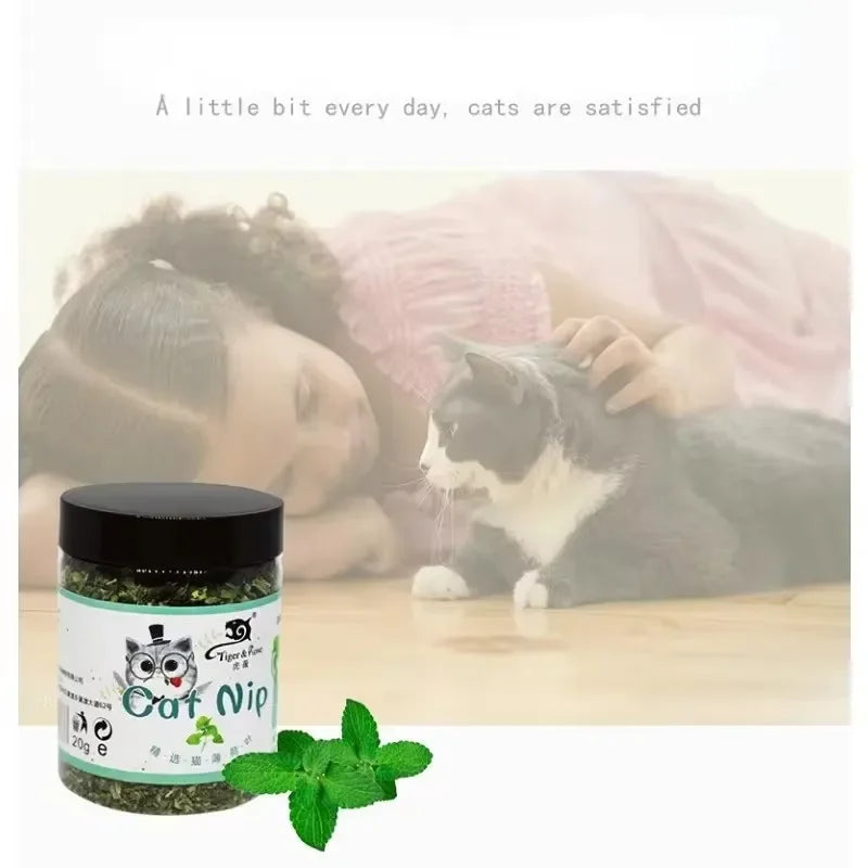 100% natural organic catnip toy with strong mint aroma for playful cats.