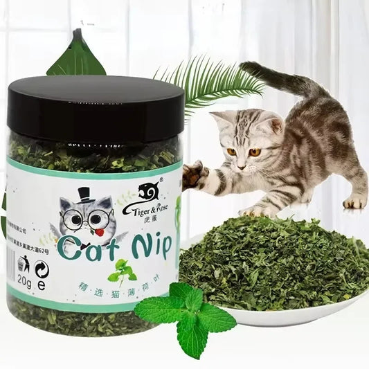 100% natural organic catnip toy with strong mint aroma for playful cats.