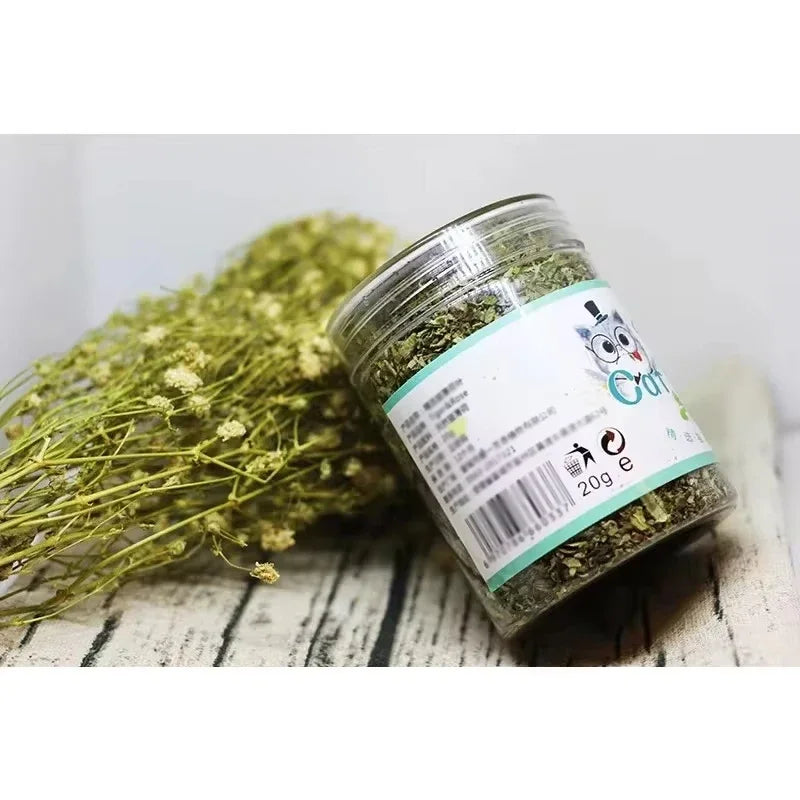 100% natural organic catnip toy with strong mint aroma for playful cats.